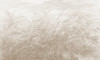 Papier peint Early Dawn 3