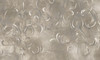 Papier peint Old Ornaments 2