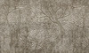 Papier peint Frozen Canopy 2