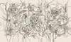 Papier peint Whisper