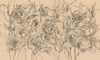 Papier peint Whisper