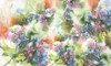 Papier peint Limonium