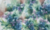 Papier peint Limonium