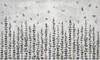 Papier peint Miracle