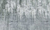 Papier peint Allure