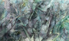 Papier peint Pietra