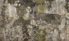 Papier peint Moss