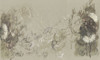 Coloris 1