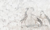 Papier peint Aironi
