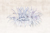 Papier peint Agawa