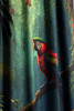 Rideau PARROT