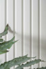 Lamelle Murale blanche Medio L0201T - 200cm