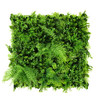 Mur végétal Orlica 50x50cm · 50 × 50 cm