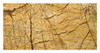 Carrelage Brun de la forêt tropicale