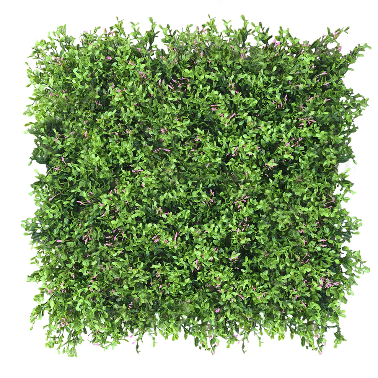Mur vert Fumaria 50x50 cm – Design naturel en mousse végétale durable
