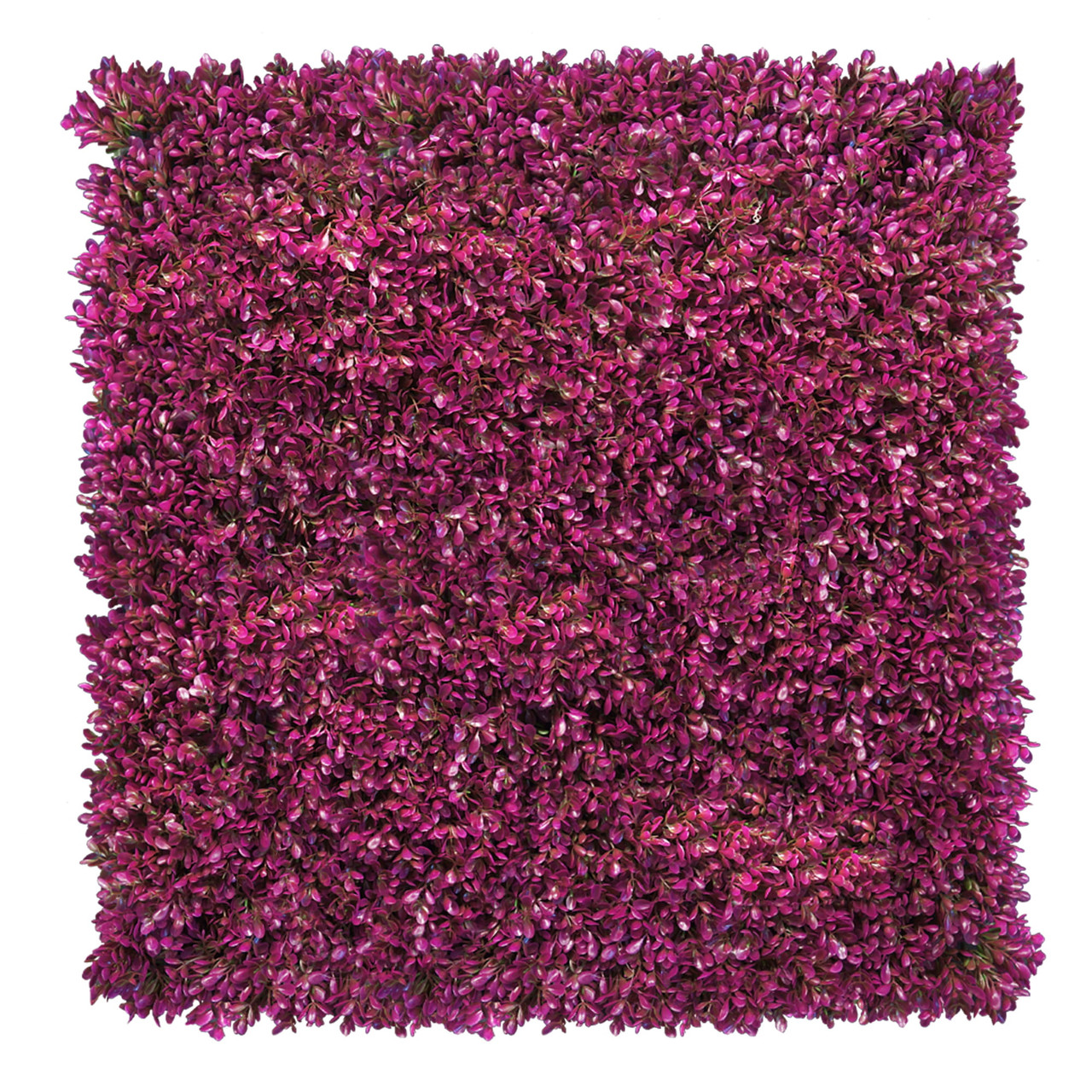 Mur végétal fuchsia rose 50x50 cm - Vue frontale