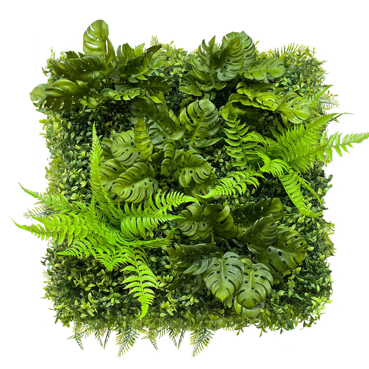 Mur végétal Monstera 50x50 cm, design naturel et élégant