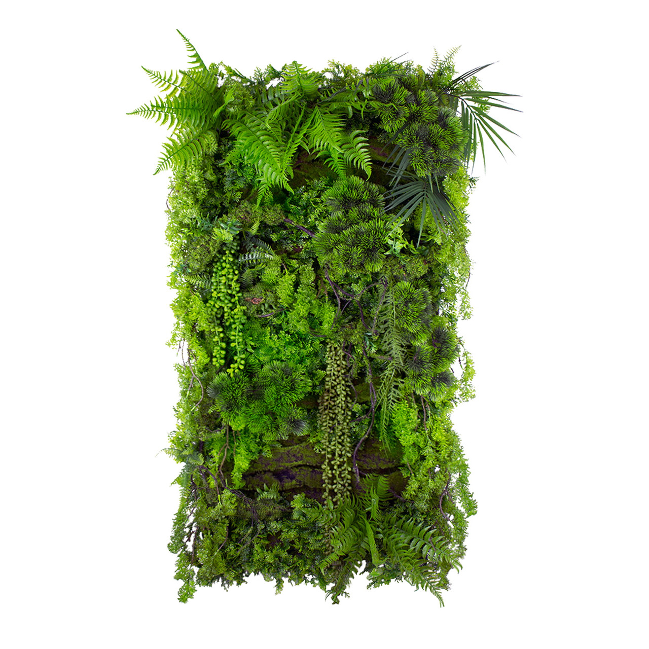 Jardin vertical Mountain Pine 50x100 cm, design naturel et moderne