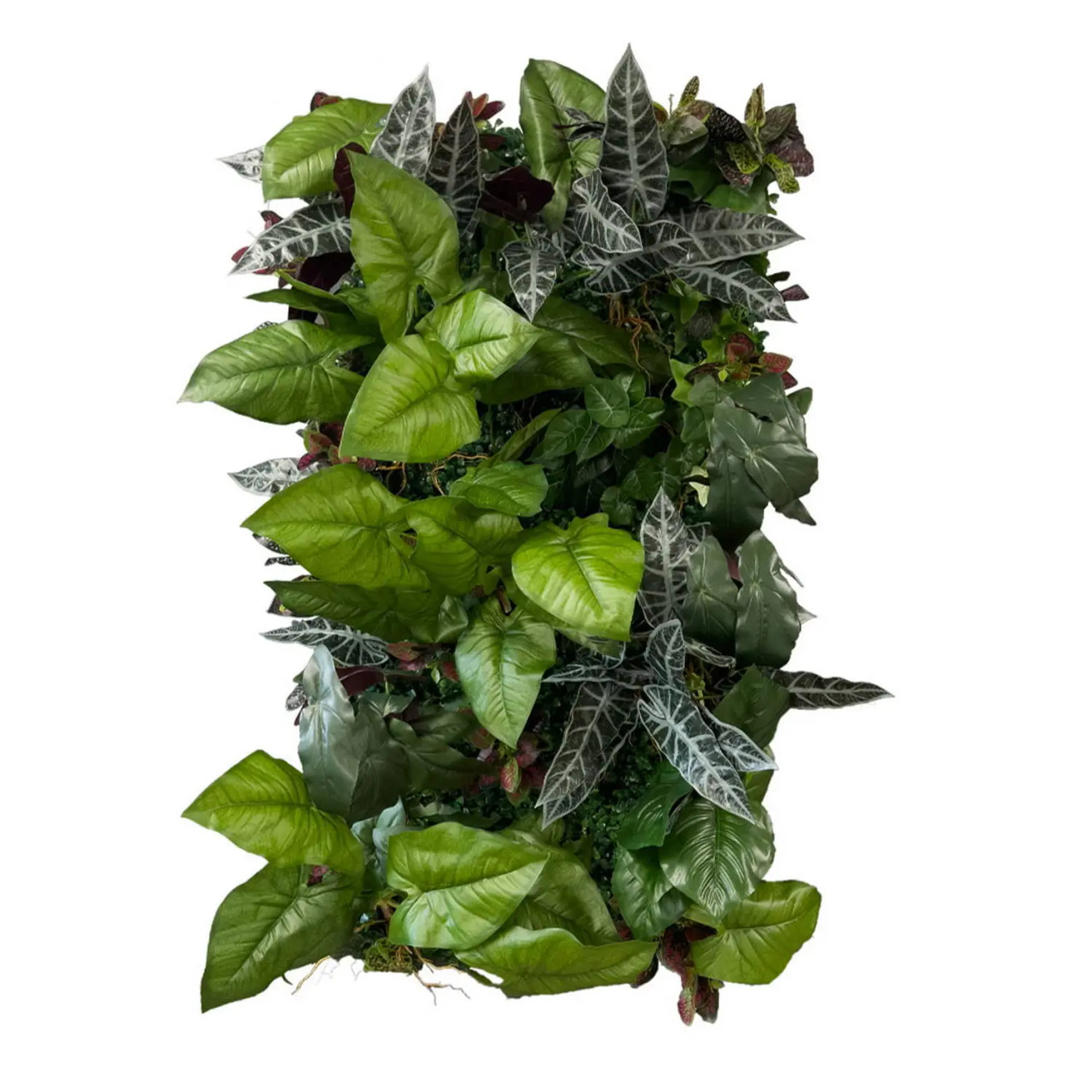 Jardin vertical Catalpa Summit 50x100 cm, design moderne et végétal luxuriant