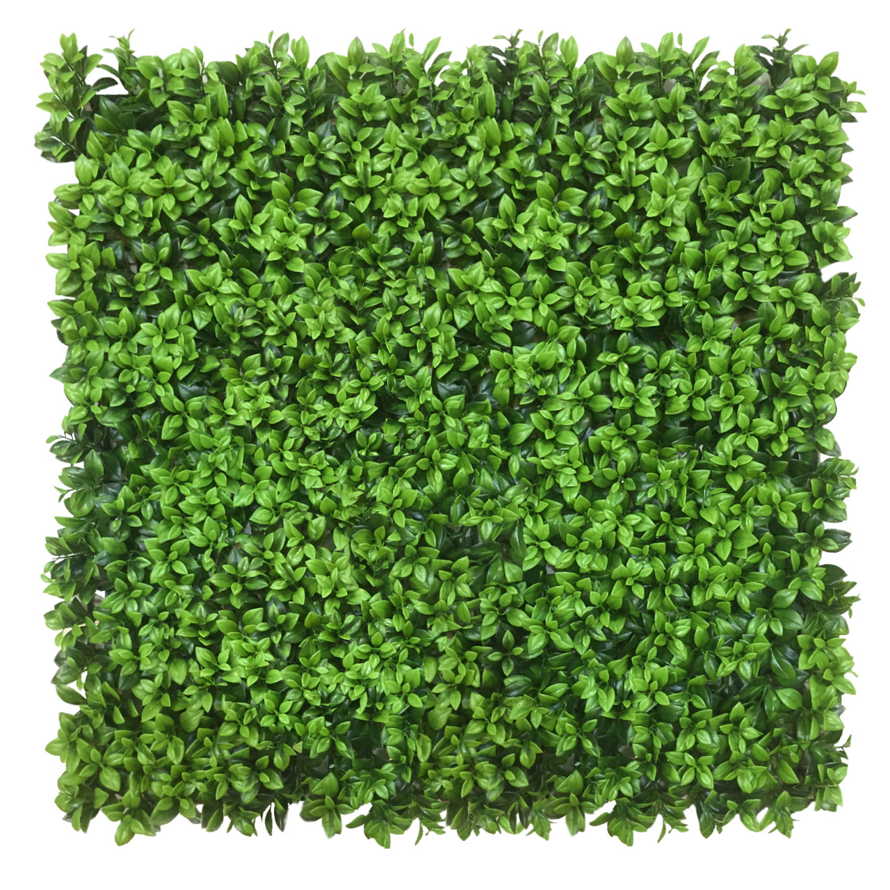 Mur végétal Lebiodka 50x50 - Panneau végétal décoratif autocollant