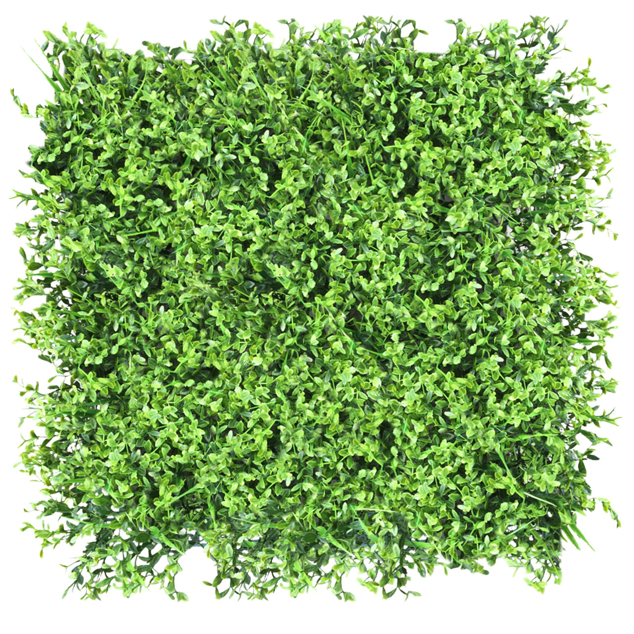 Mur végétal Jemioła 50x50 cm – design moderne et naturel