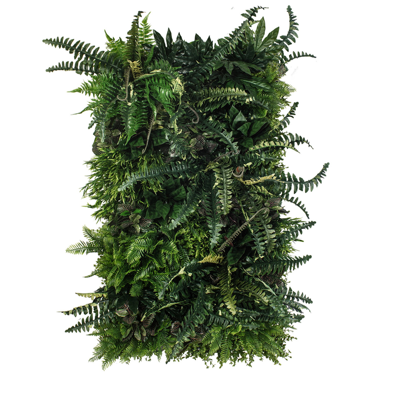 Jardin vertical Rainforest 50x100 cm, design naturel et épuré