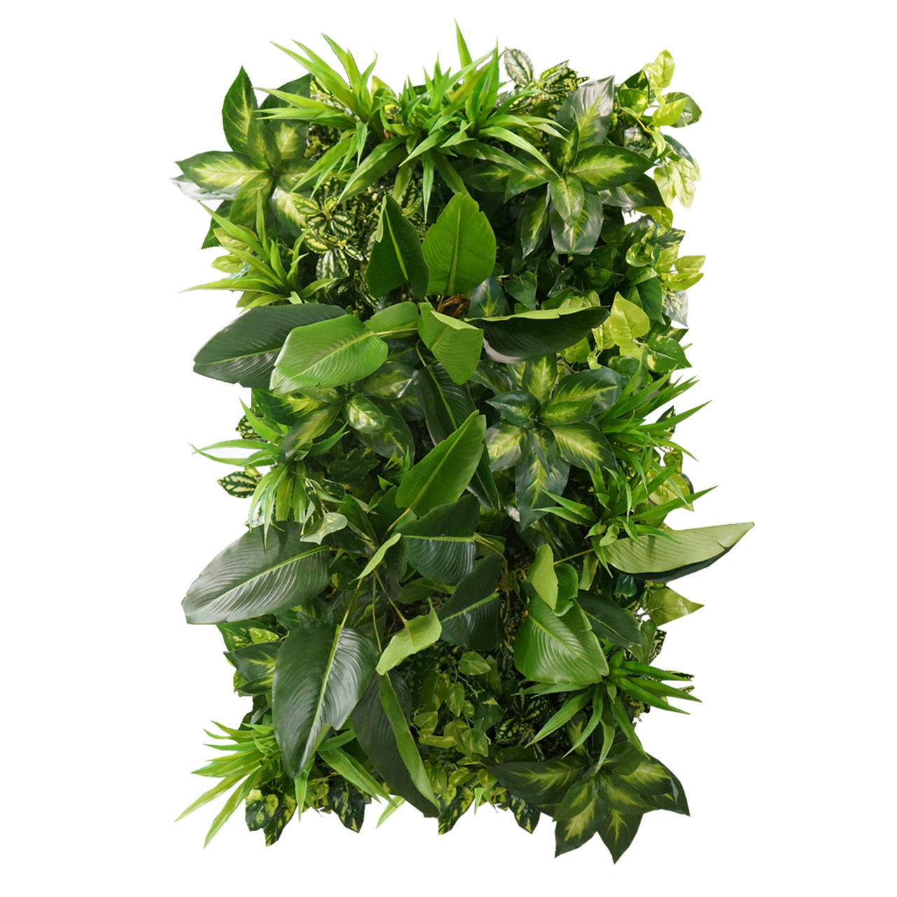 Jardin vertical Tropical Freshness 50x100 cm, design moderne et végétal luxuriant