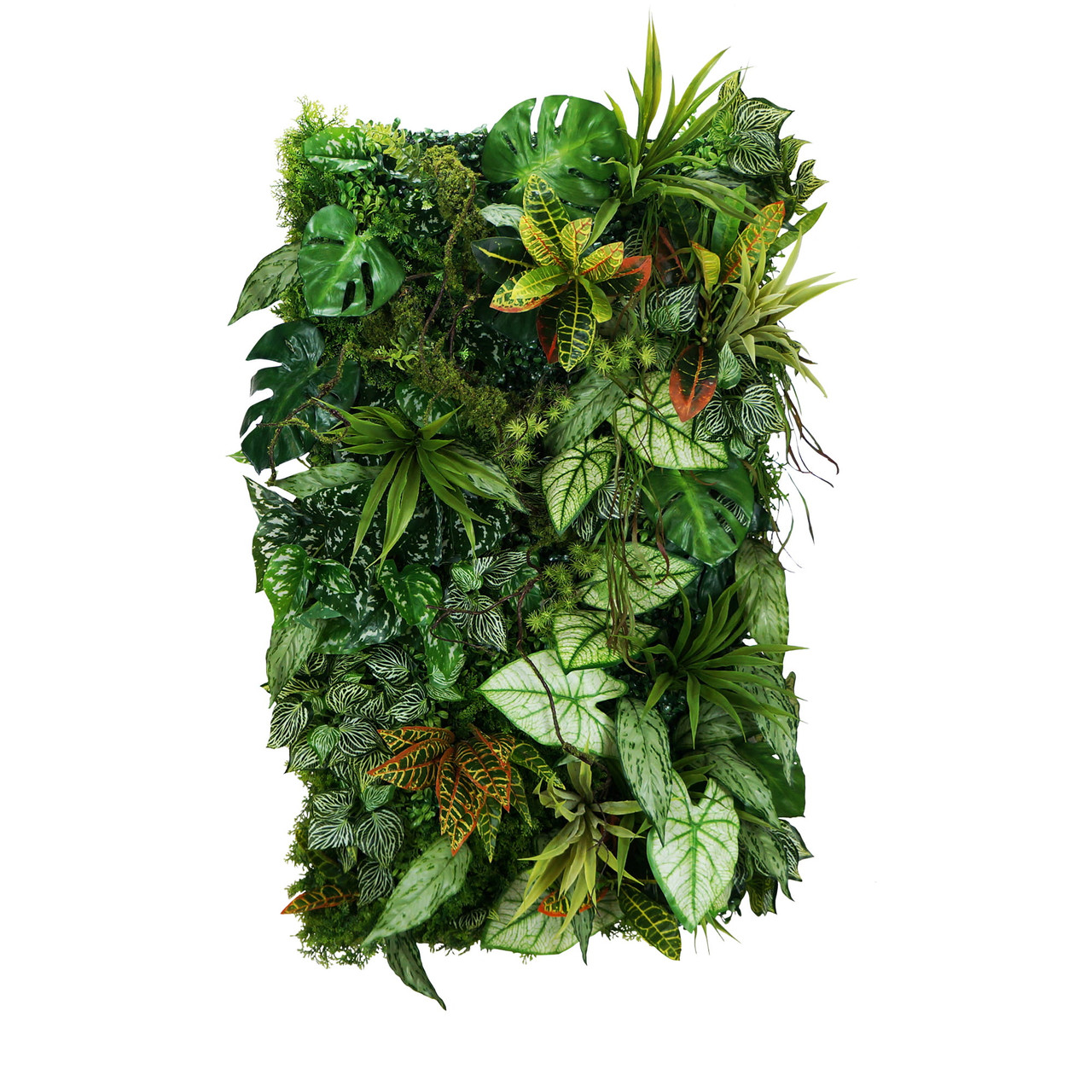 Jardin vertical Mayan Ray 50x100 cm, design épuré et végétal luxuriant