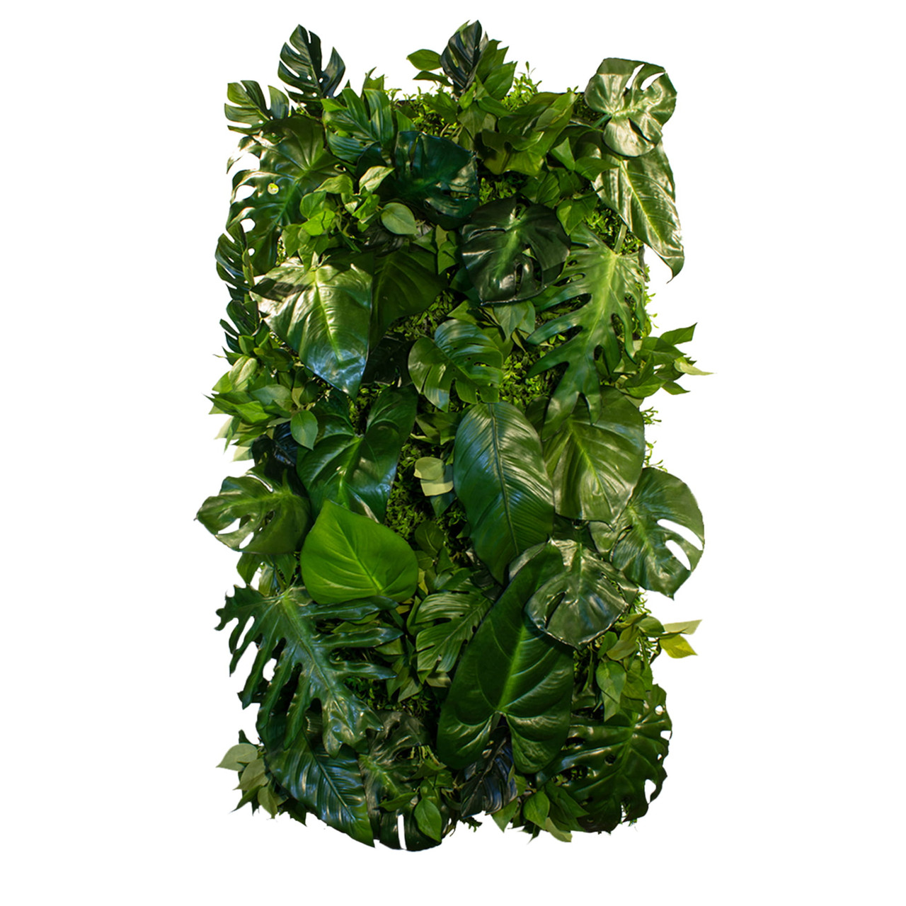 Jardin vertical Coconut Island 50x100 cm, design naturel et moderne