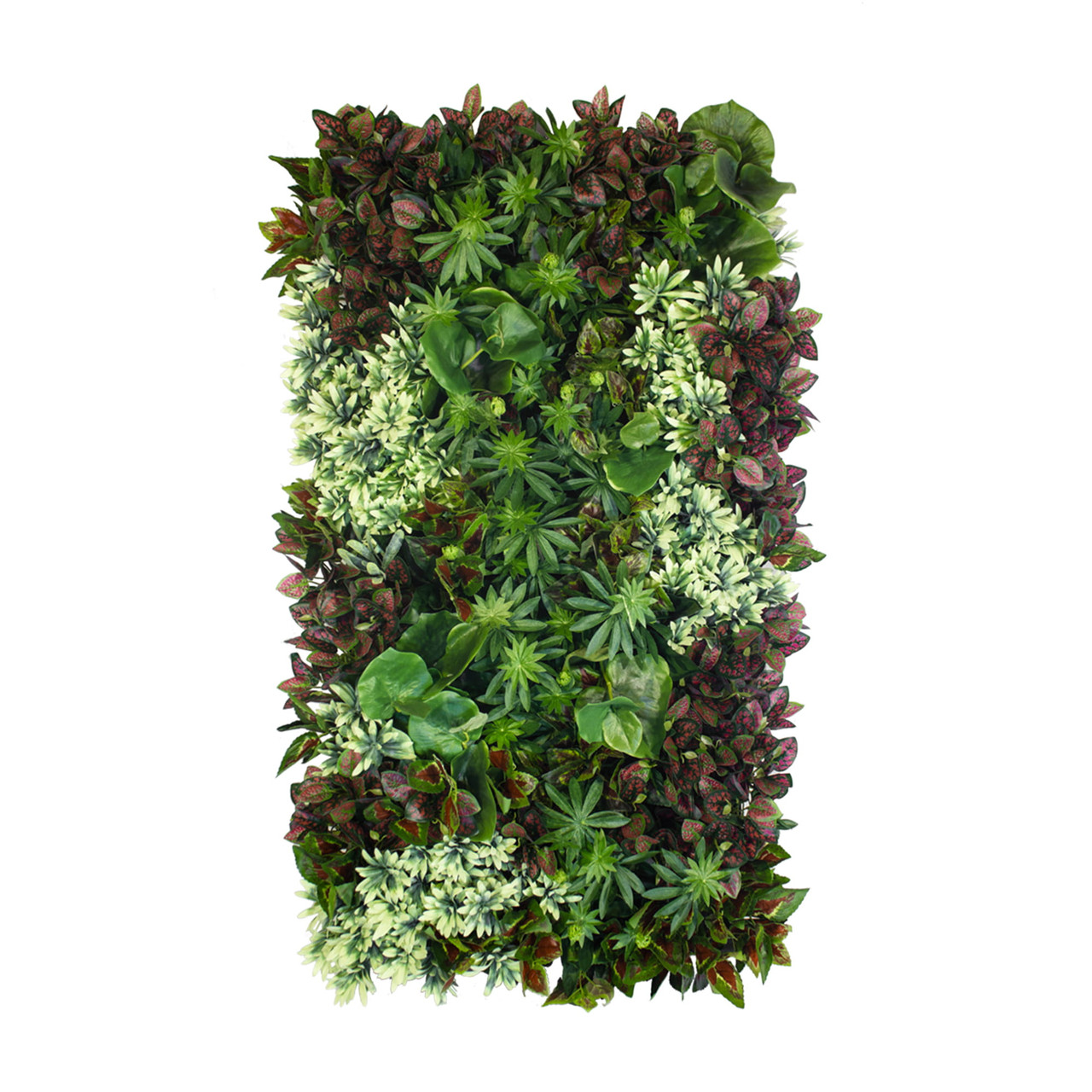 Jardin vertical Tundra 50x100 cm, structure modulaire en bois massif et panneaux végétaux