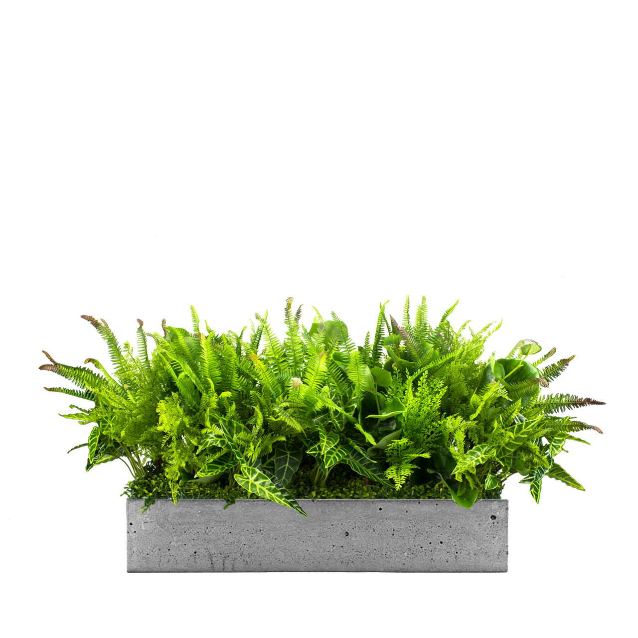Insert pour pot de fleurs Nature Pride - Design élégant et naturel