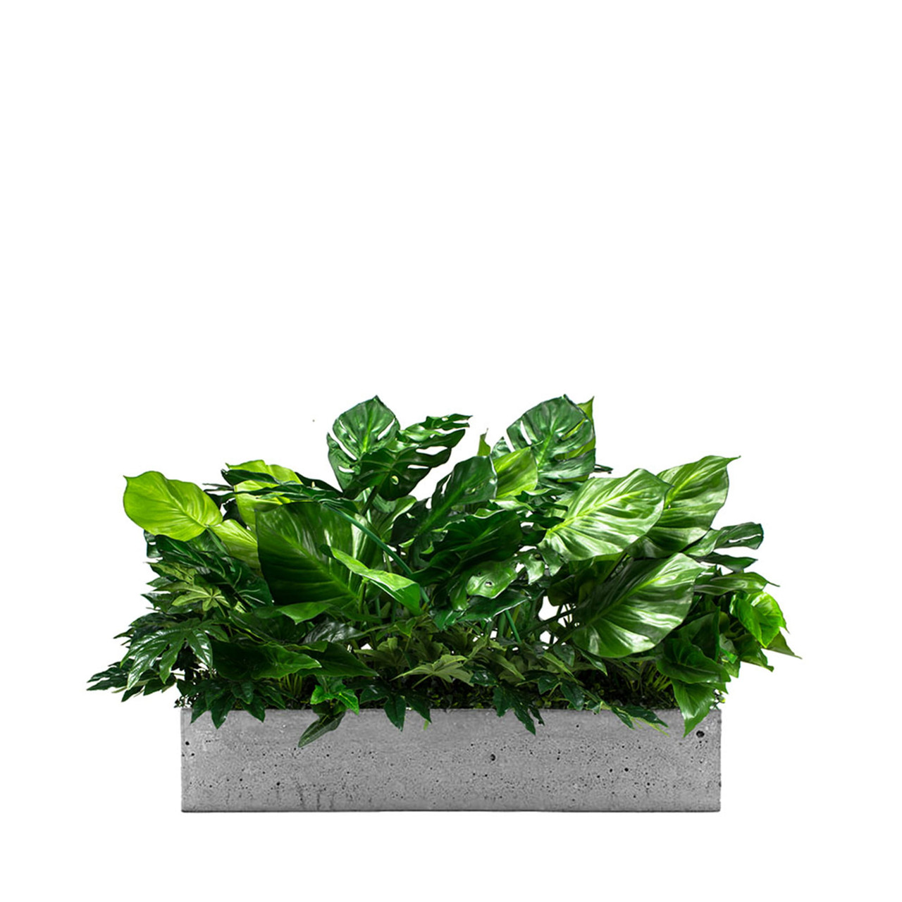 Insert en céramique pour pot de fleurs, design moderne, couleur naturelle