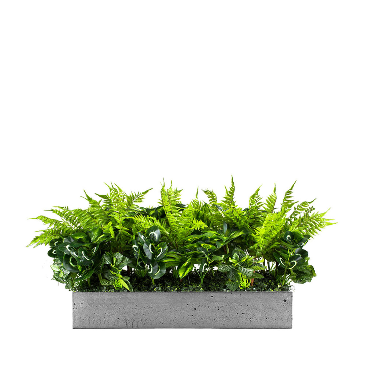 Insert décoratif pour pot de fleurs, design inspiré par la lumière du soleil