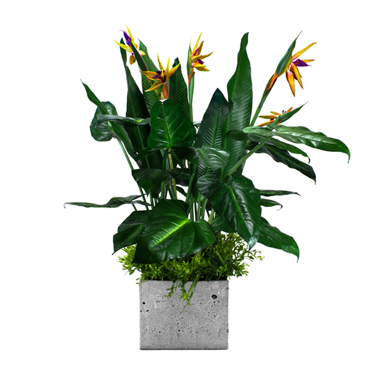 Insert décoratif pour pot de fleurs, design exotique