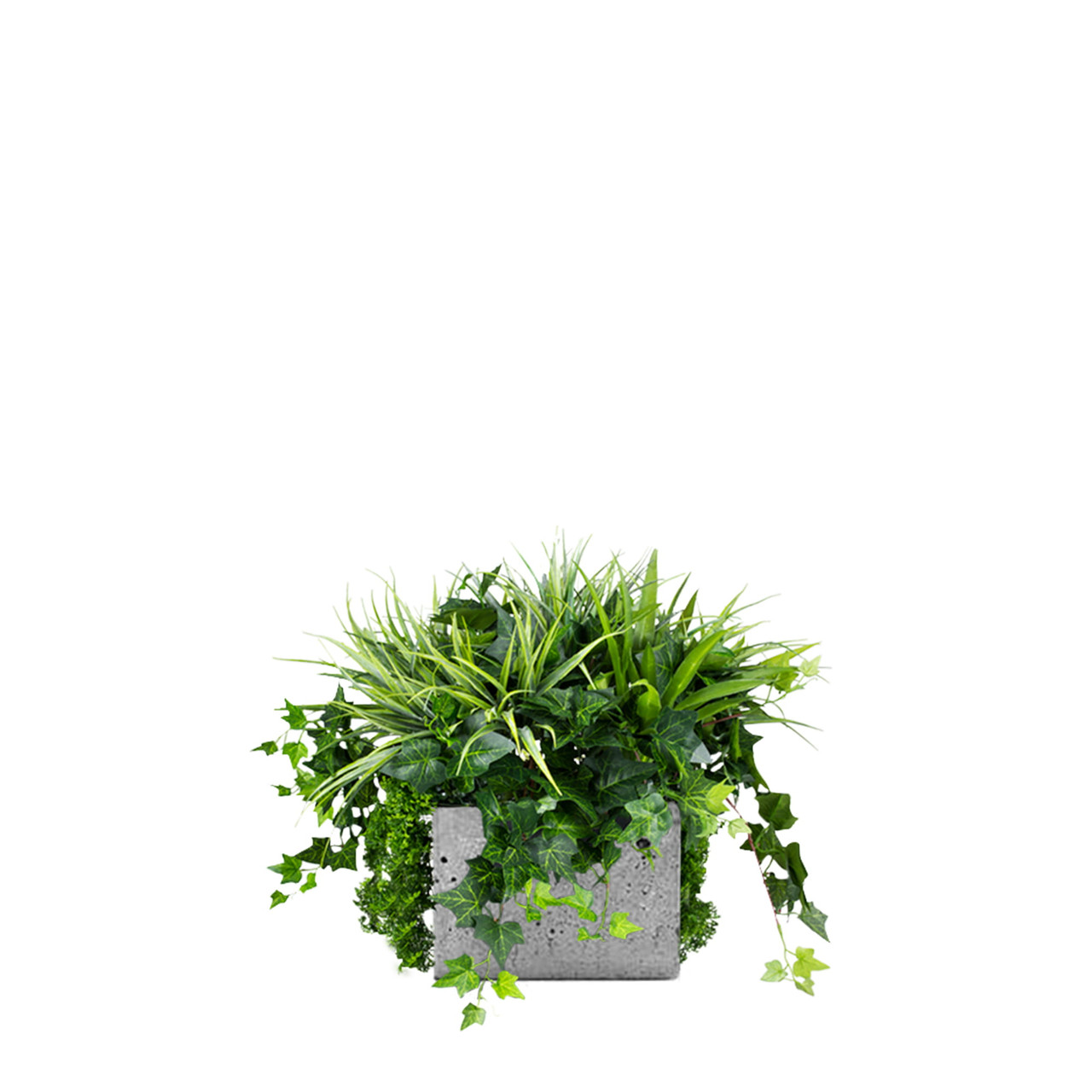 Insert décoratif pour pot de fleurs Blue Jay - design moderne et élégant