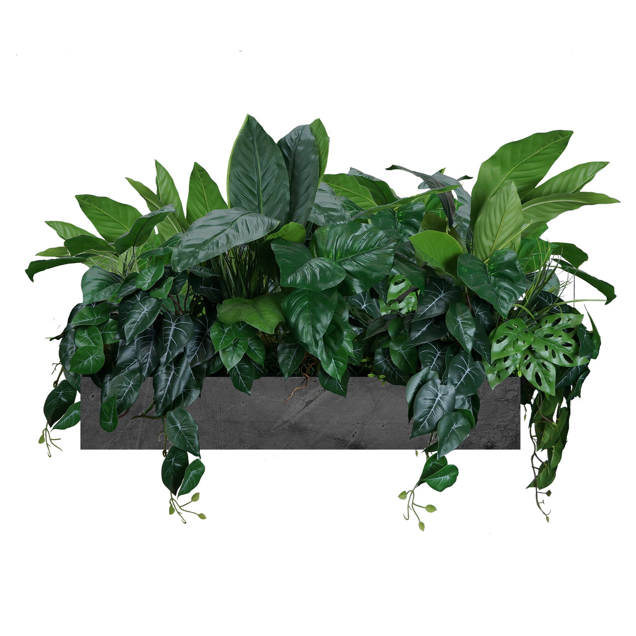 Composition florale exotique pour pot, design moderne et élégant