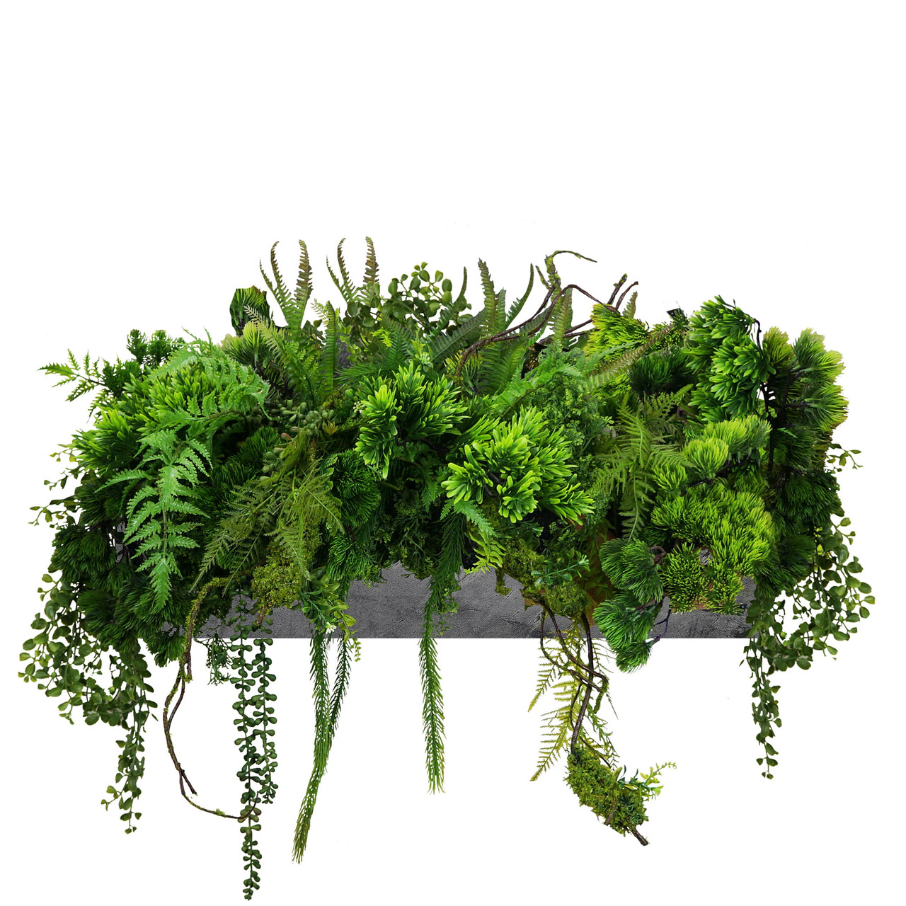Composition florale élégante pour pot, mélange harmonieux de plantes vertes et fleuries, style natur