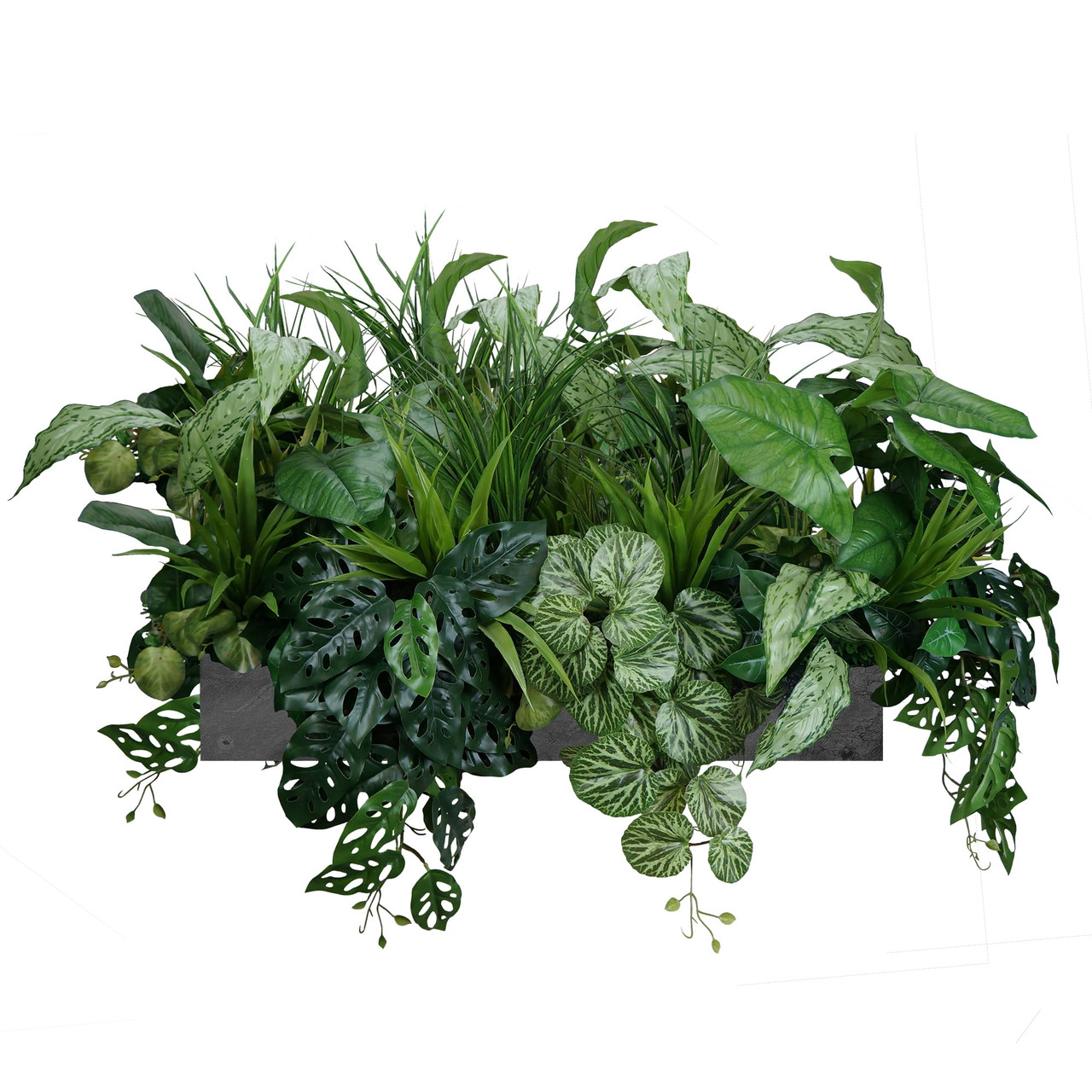 Composition florale élégante pour pot, mélange de plantes vertes et fleuries, idéale pour intérieur