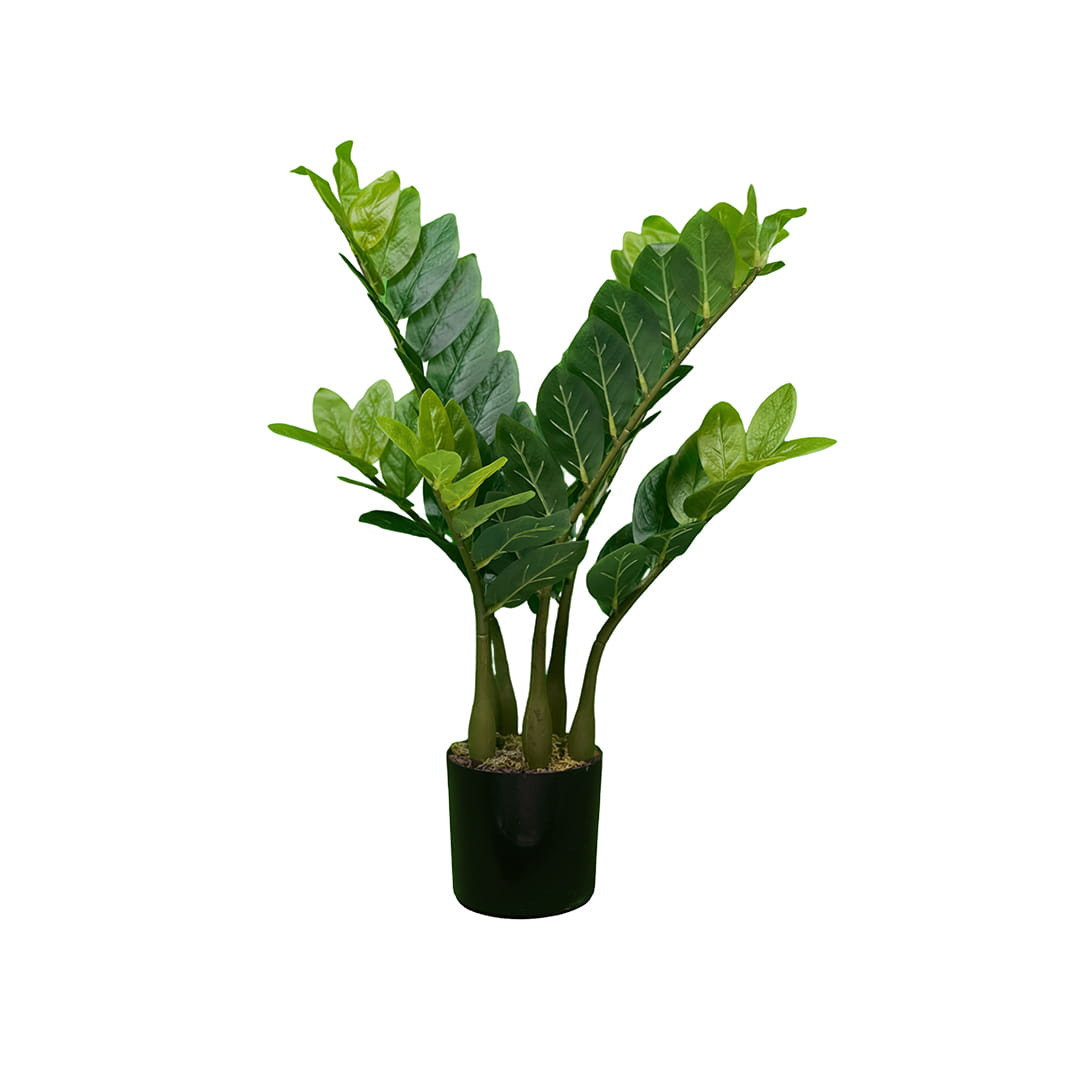 Plante artificielle Zamiokulkas 60 cm, feuillage réaliste et décoratif