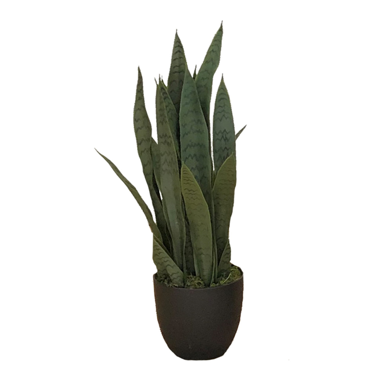 Plante artificielle Sansevieria Zelenica 65 cm, design réaliste et élégant
