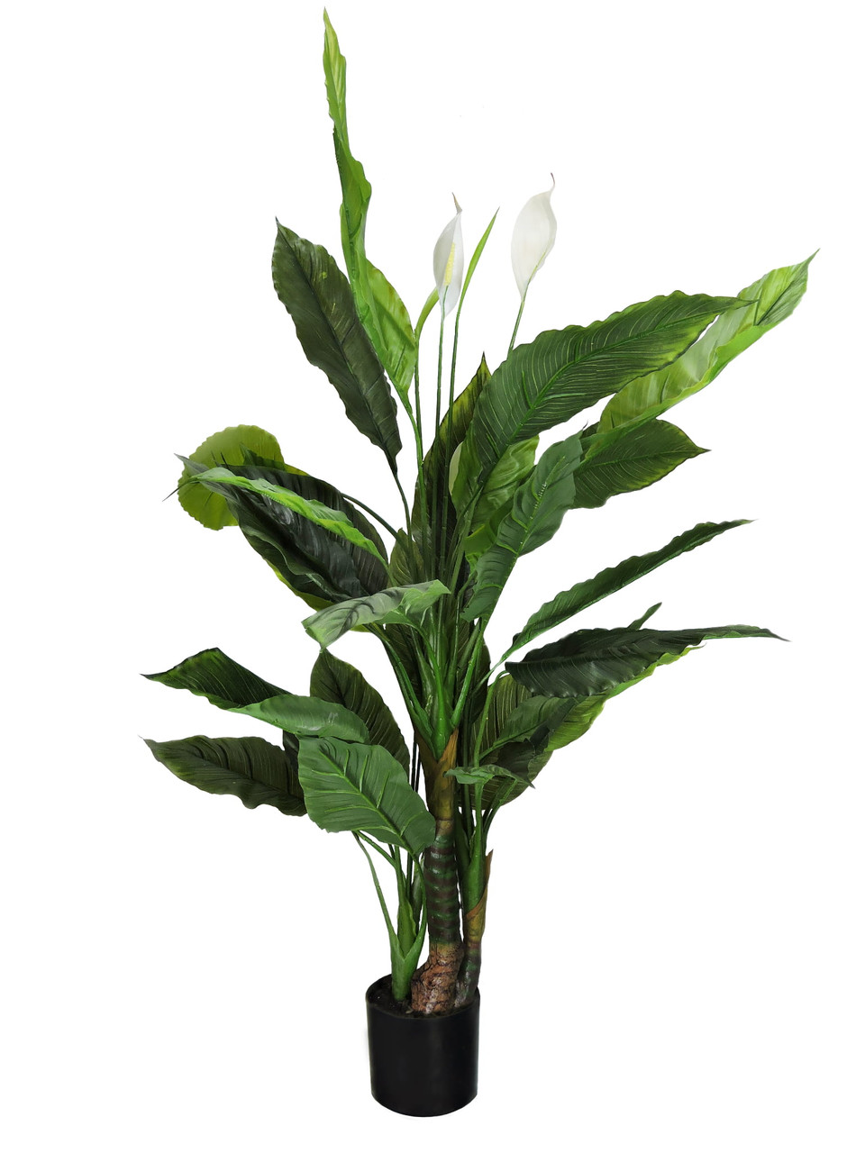Plante décorative Ailes de fleurs 120 cm – Vue principale