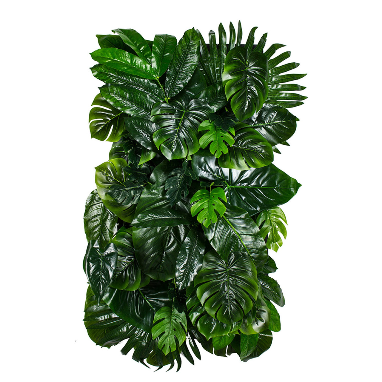 Jardin vertical Monstera Madness 50x100 cm, idéal pour intérieurs modernes.