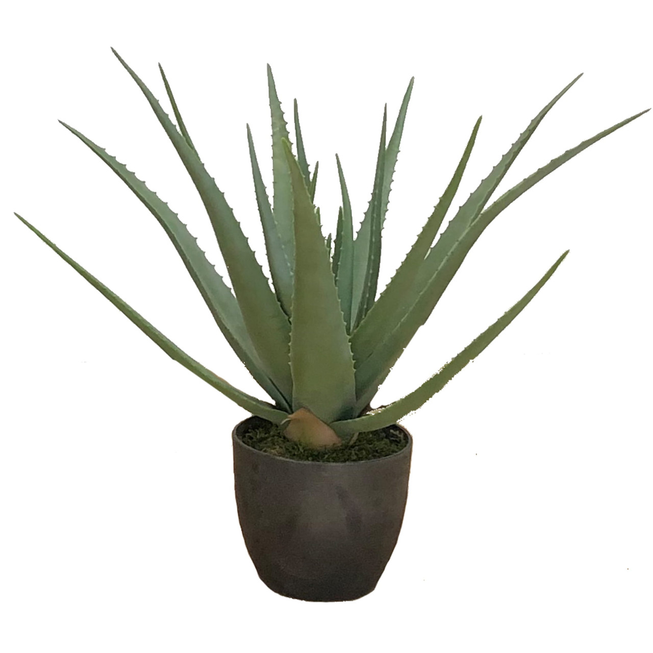 Aloès artificiel de 69 cm en pot, vue de face, détails réalistes des feuilles.