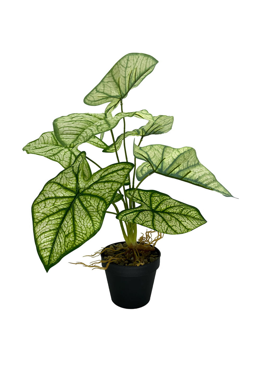 Syngonium artificiel 54 cm en pot décoratif, vue d'ensemble