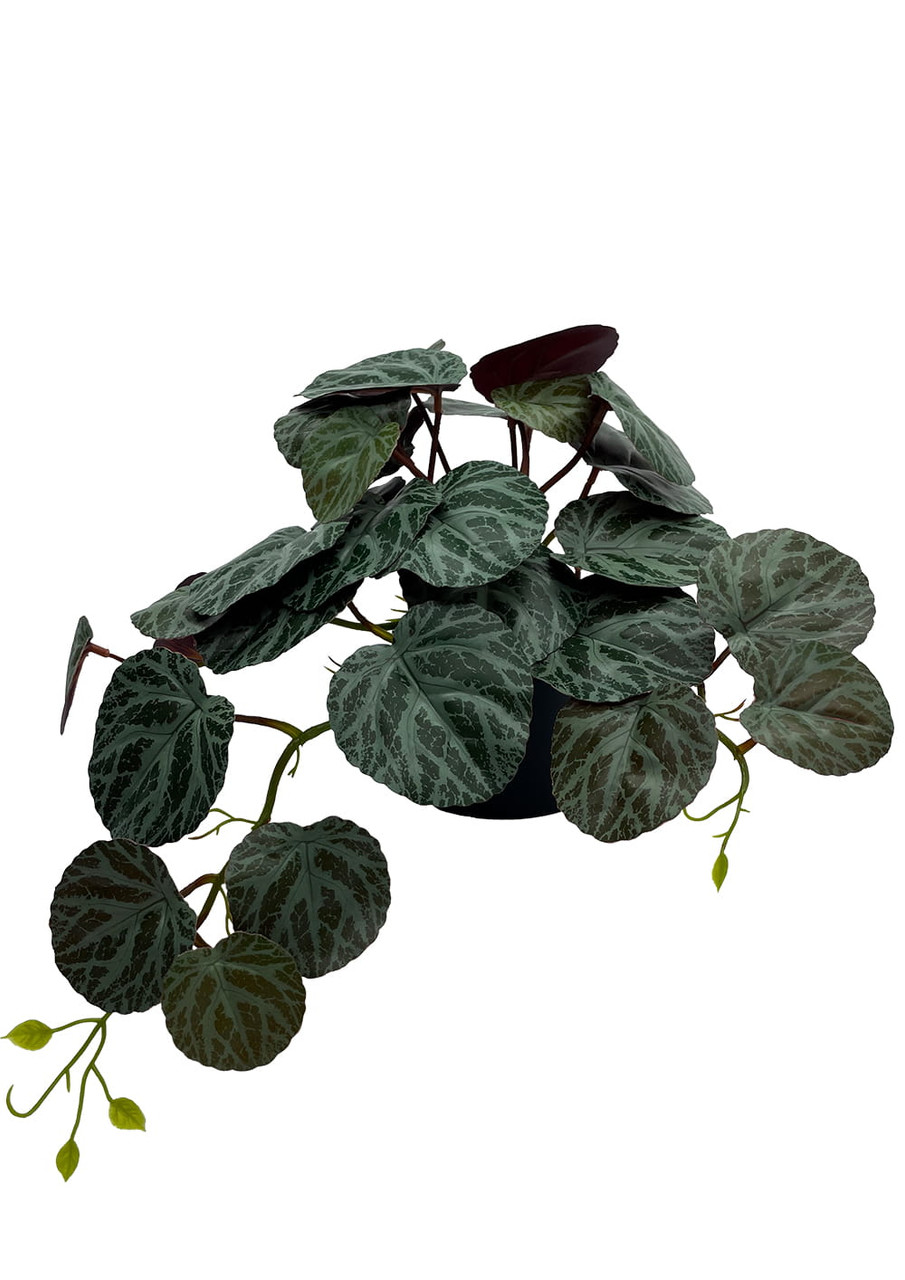 Plante artificielle Pilea en pot décoratif, vue de face.