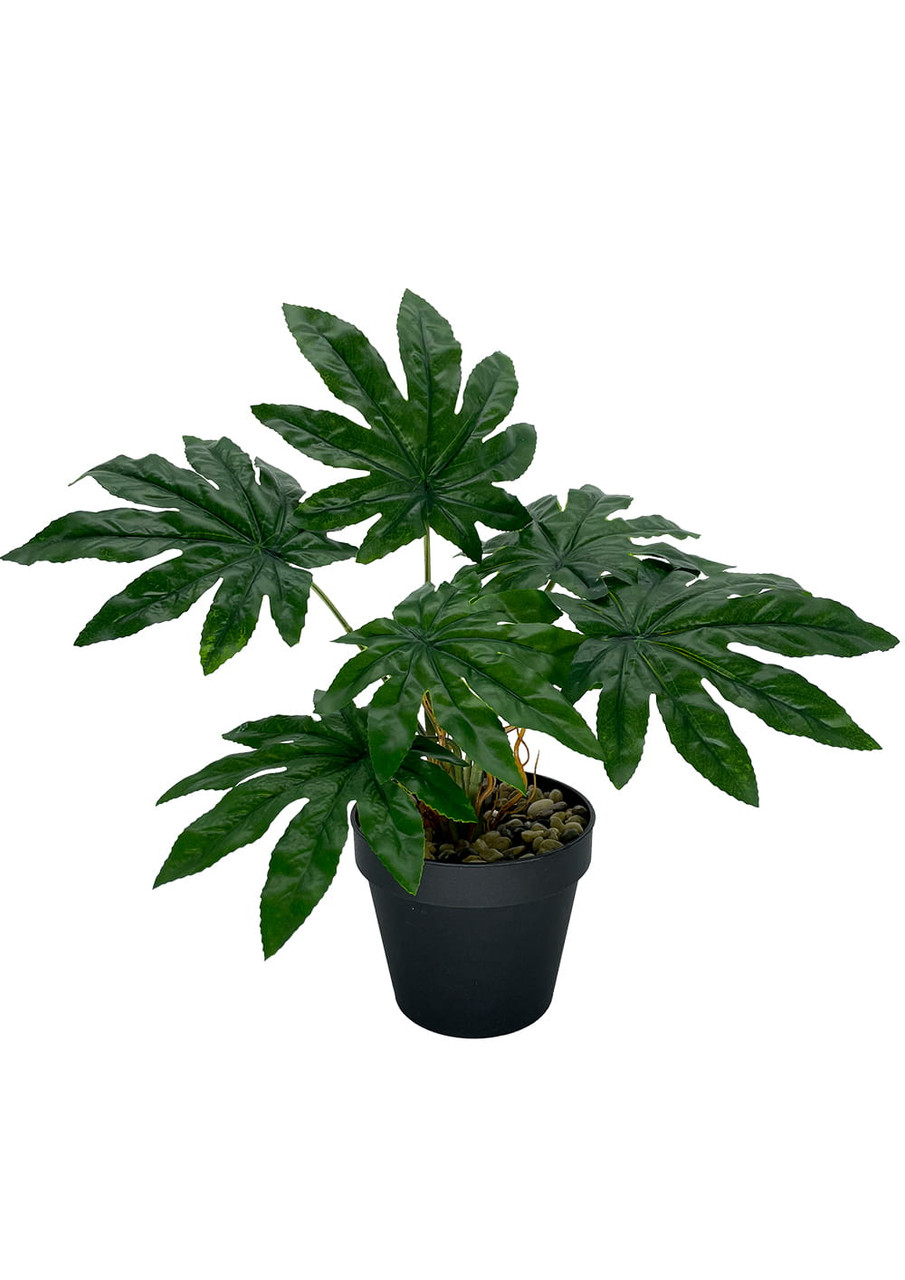 Plante artificielle Aralia en pot décoratif, vue frontale.
