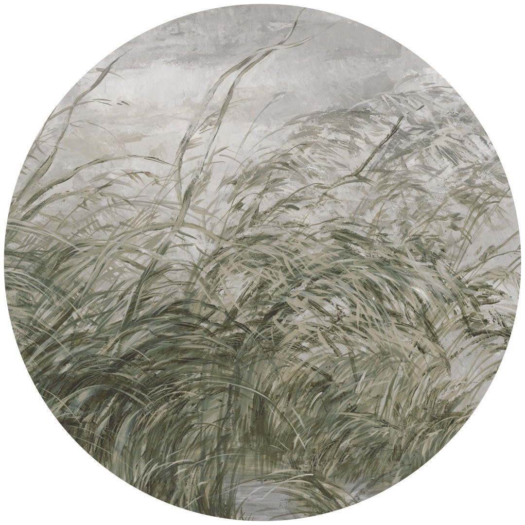 Papier peint cercle Early Dawn 2