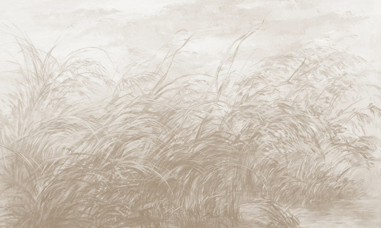 Papier peint Early Dawn 3