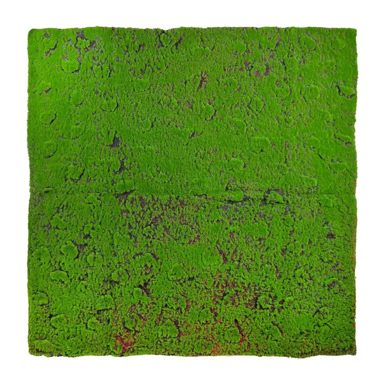Tapis de mousse Płonnik 100x100cm · 100 × 100 cm · Green Designers