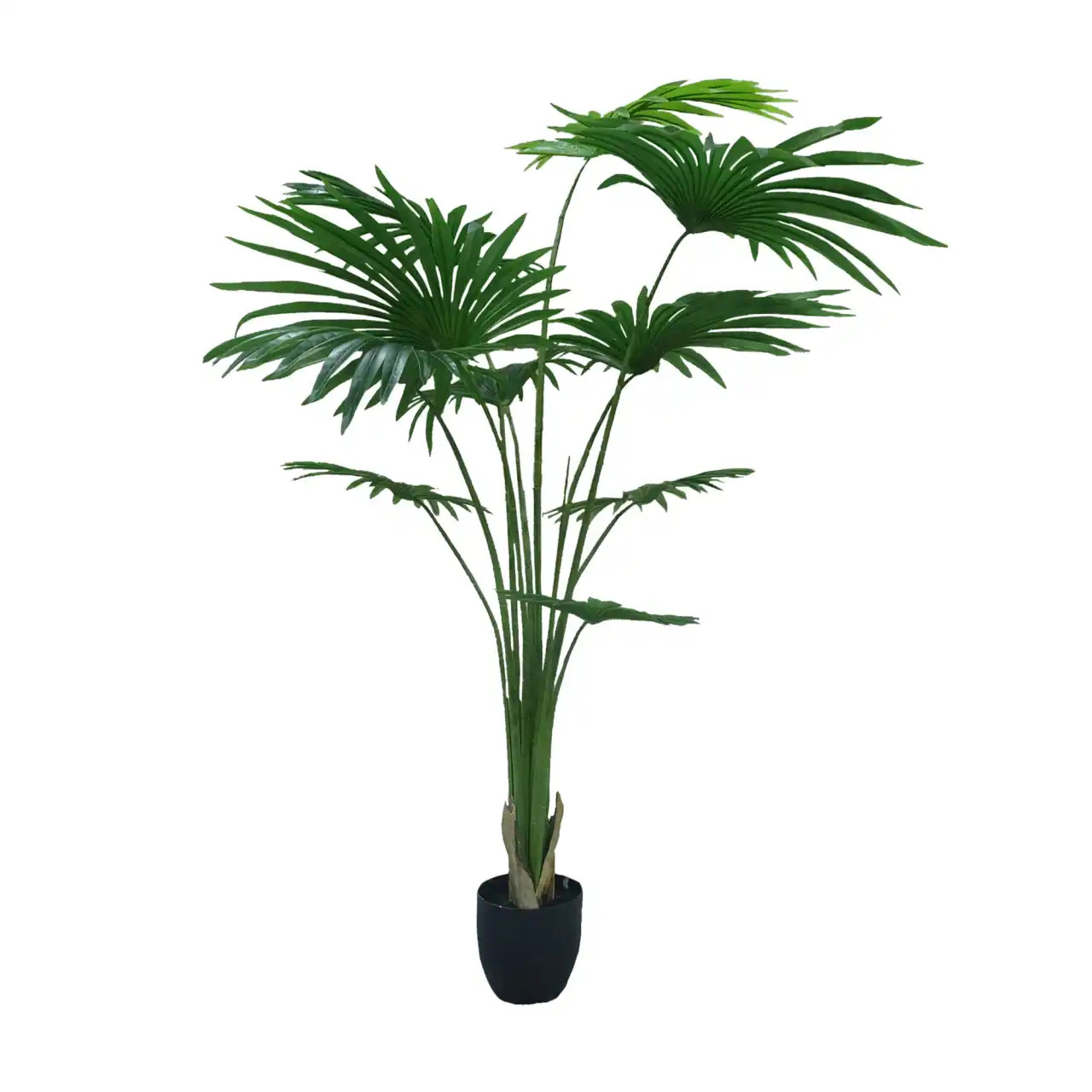 Plante artificielle verte Washingtonia Robusta 220cm · hauteur 220 cm